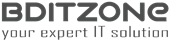 BD iT Zone – Online Course